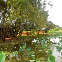 Meegahapokuna Resort