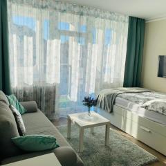 Zrinyi Central Apartman with free parking