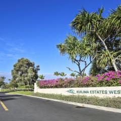 Turtle Bay Gardenia condo