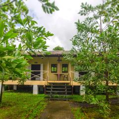 JenJon Wood County Phansad Alibaug