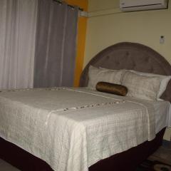 Comfy, Central & Elegant Studio New Kingston