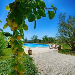 Villa Benka, Istrian stone house