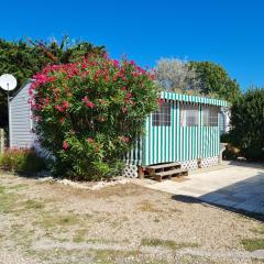 Mobil home sur camping 4 étoiles CAP SOLEIL St Denis d'Oléron