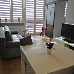 Apartament w Centrum