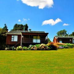 Forest View Cabins