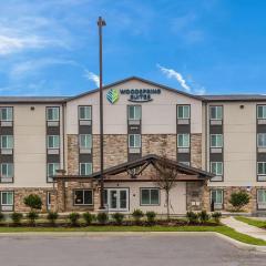 WoodSpring Suites Tampa Airport North Veterans Expressway