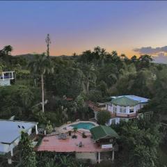 Pancho's Paradise - Rainforest Guesthouse with Pool, Gazebo and View