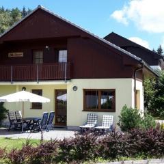 beautiful villa at the Lipno Lake with ski pistes