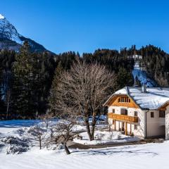 Urlaubsparadies Bogenhof - 5 Minuten zum Lift