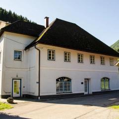 Wohnung im Nationalpark Kalkalpen mit Badeplatz