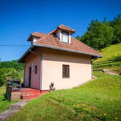 Apartmani Vidra