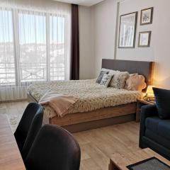 Apartman Šilja L22 Milmari Kopaonik