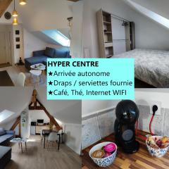 Appartement T3 "YUCA" Hyper centre d'ERNÉE