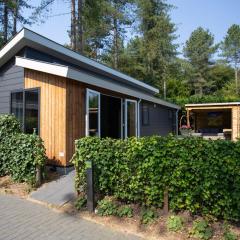 Modern house with roof, located in a holiday park in Rhenen