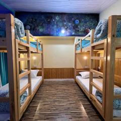 The Vagabond Manali