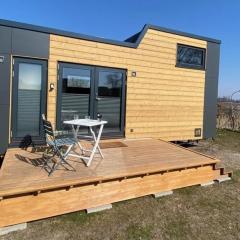 Winzig Wohnen Tiny House Frigg direkt am Weserstrand