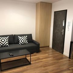 Apartamenty Platinex 6