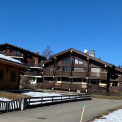 CHALET DES NEIGES