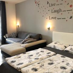 Studio apartma Franca