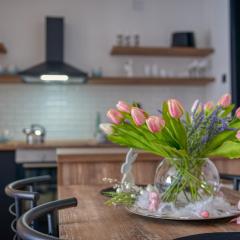 Dream Apartment Vršac