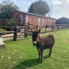 Rew Farm Country and Equestrian Accommodation - Sunset Lodge