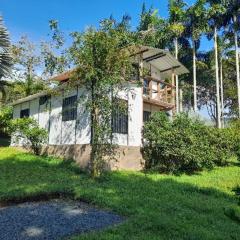 Cabañas en el Bosque