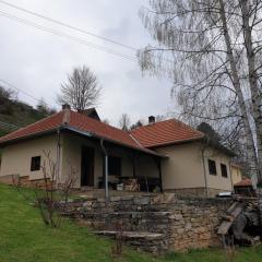 Kuća za odmor - Martić, Rudno, Golija