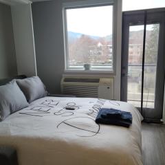 Cozy Studio Suite, 15min walk to downtown