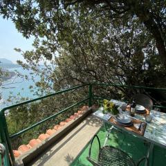 Le Dimore di Zaro - Green Paradise