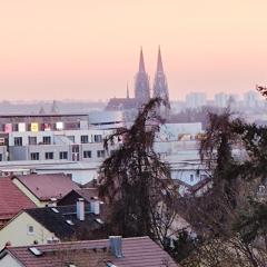 Domblick Regensburg