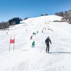 Holiday home in Niedernsill near ski area