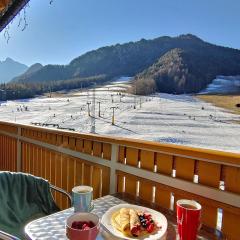 Apartma Sonček, on the ski slopes, balcony, private parking