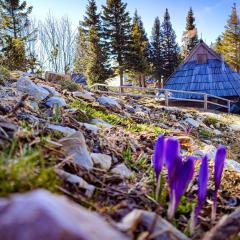 Chalet Encijan - Velika planina