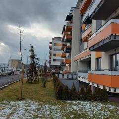 Apartament Roland Braşov