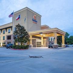 Comfort Suites Old Town Spring