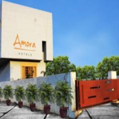 HOTEL AMORA - Rajnandgaon