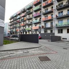 2 room apartment with terrace, Prievozska street