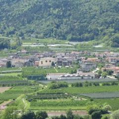la farfalla di Susà