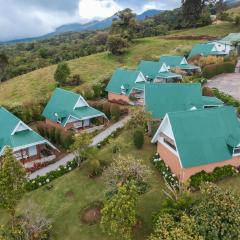 Hortensias Chalets Vara blanca