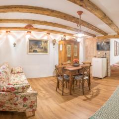 Rustic Apartment PETRA
