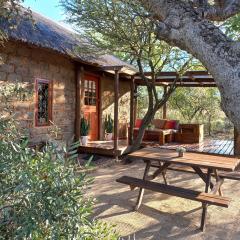 Five Pebbles on Piece of Africa