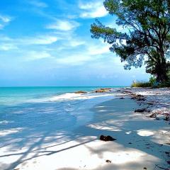 Welcome To The Paradise