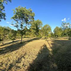 Terra del Sasso Country-house