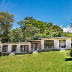 YerbaBuena Modern Stay in the Cloud Forest