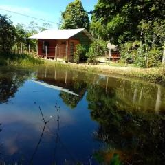 Albertico Jungle House