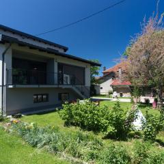 Modern House in Visoko