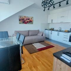 Apartments NEO Free parking