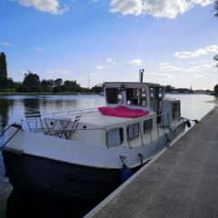 Penichette habitable max 4-5 pers terrasse vue sur l'eau ST JEAN DE LOSNE