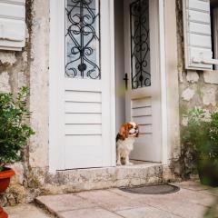 White Shutters House