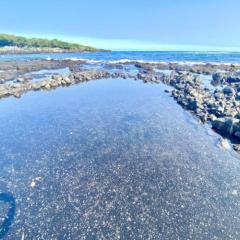 Beachfront 1 Bedroom Condo with Private Beach, Pool, Hot Tub